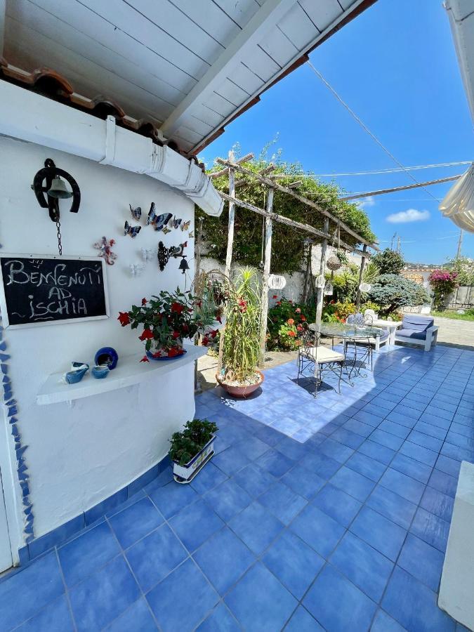 La Bicocca Di Annavi Bed & Breakfast Forio  Bagian luar foto